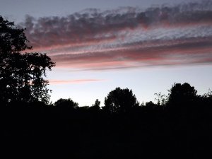 DSCF1627.JPG