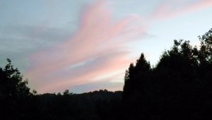 DSCF1629.JPG