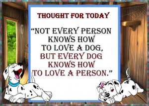 Thought love a dog.jpg