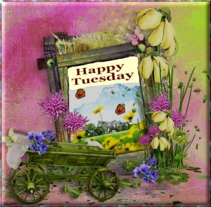 happy tuesday 22.7.2.jpg