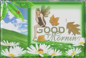 Good Morning Wednesday.23.7.jpg