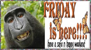 happy friday.25.7.14.jpg