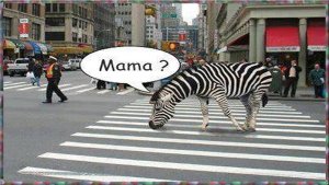 mama.jpg