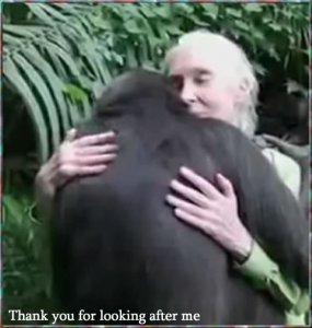 thankyou.jpg