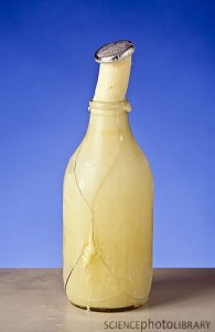 image.jpg