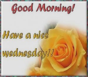 have-a-nice-wednesday.jpg