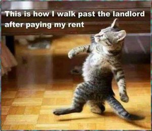 rent.jpg