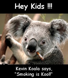 smokin-koala-2.jpg smokin-koala-2.jpg