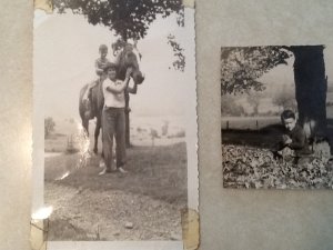 A8651941-1B3D-418B-8531-FD8901170DCC.jpeg