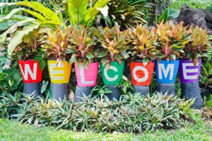 13544412-welcome-guest-to-paint-a-flower-pot.jpg