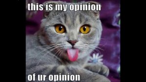 Funny-cat-memes-2.jpg
