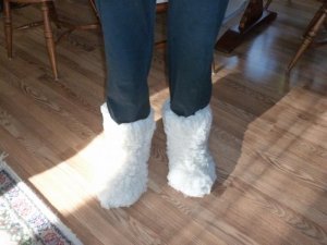 slippers (800x600).jpg