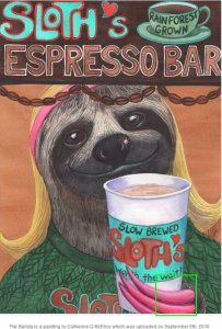 sloths.jpg