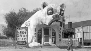 bulldog1-1260x710.jpg