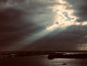 IMG_8050.jpg