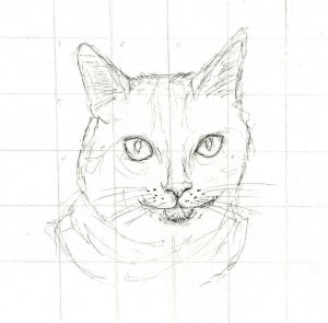 Peter sketch.jpg