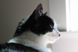 lois favorite picture.jpg