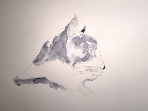 IMG_8834.jpg