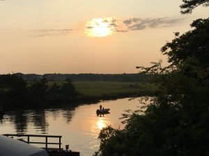 IMG_6170.jpg