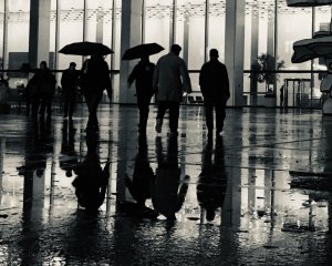 IMG_E7390.jpg