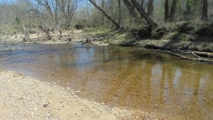 creek west.JPG