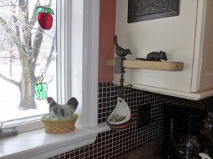 air plant 3 (800x600).jpg