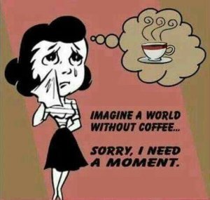 A591E56A-2E75-4138-9C4C-B8D7B276EB83.jpeg