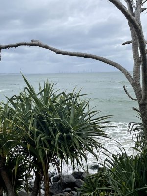 IMG_8804.jpeg