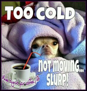 coffee.jpg
