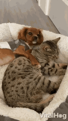 yawning-sleepy.gif