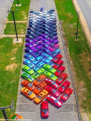 multi cars.jpg