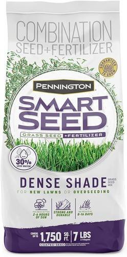 Grass Seed.jpg