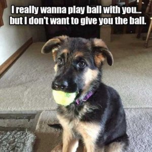 FB_IMG_1746760247334.jpg