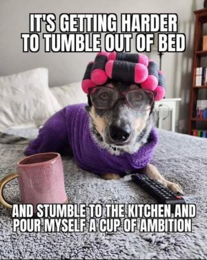 FB_IMG_1747050044556.jpg