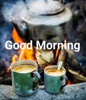 IMG_1371.jpeg