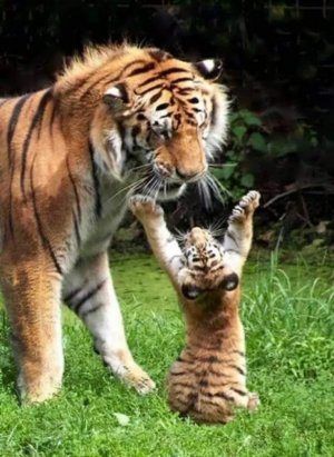 FB_IMG_1692304533341.jpg