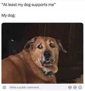 dogsuuppostjoke.jpg