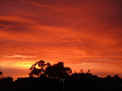 IMG_3420.JPG