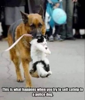 FB_IMG_1747201265359.jpg