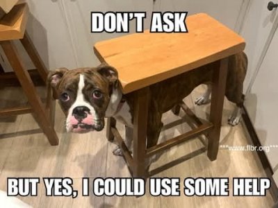 doghelpjoke.jpg