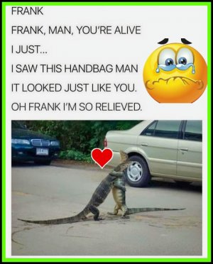 alligatorjoke.jpg