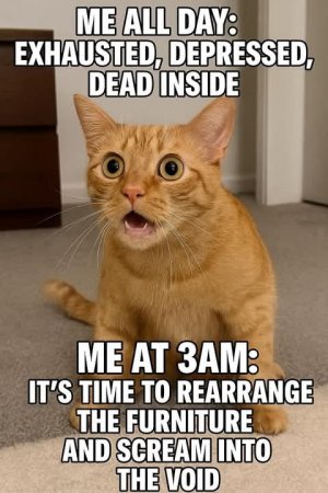 catjoke2.jpg