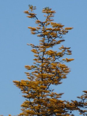 IMG_9215.JPG