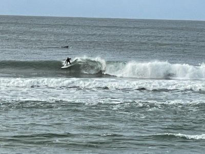IMG_4244.jpeg