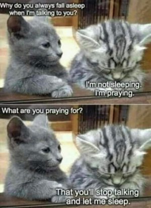 FB_IMG_1728822685938.jpg