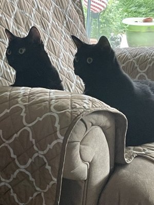 IMG_0304.jpeg