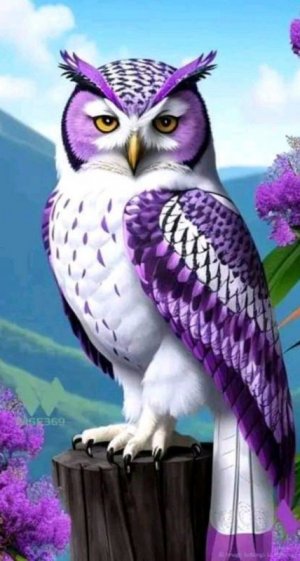 purple owl.jpg