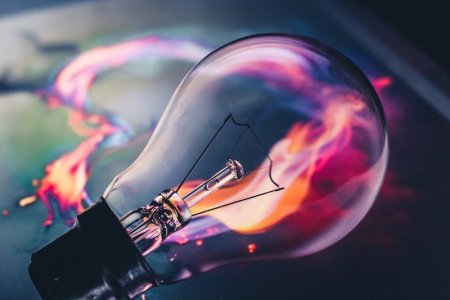 magenta-bulb-5665770_1280.jpg
