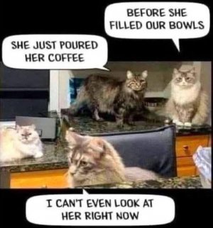 FB_IMG_1747406389754.jpg