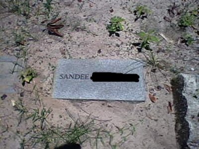 Sandee.jpg
